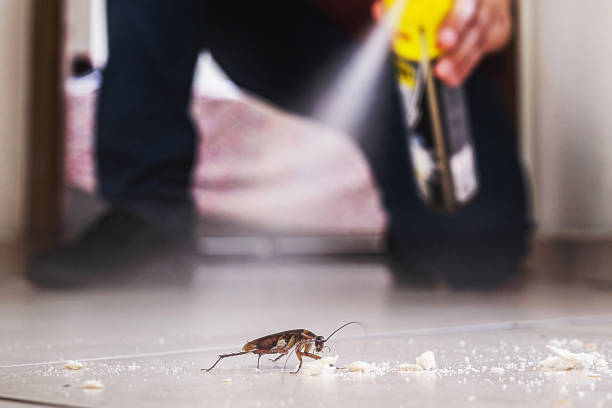 Best Pest Control Near Me in Alvord, TX